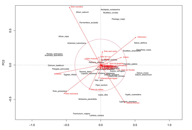 Plantas medicinales usadas con fines analgésicos en el estado de Veracruz